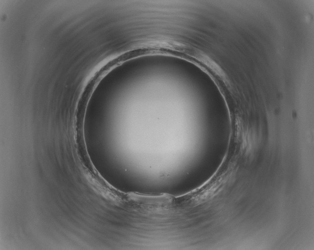 X0000062931020200601131506