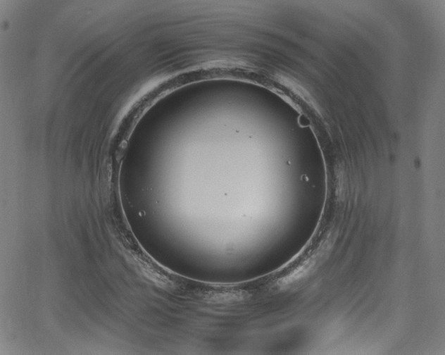 X0000062931021200601131506