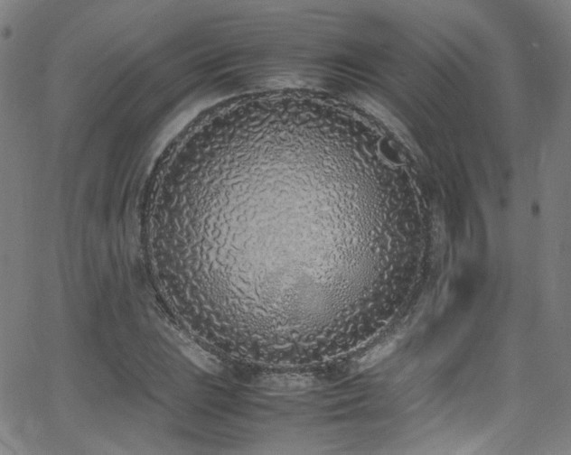 X0000062931023200601131506