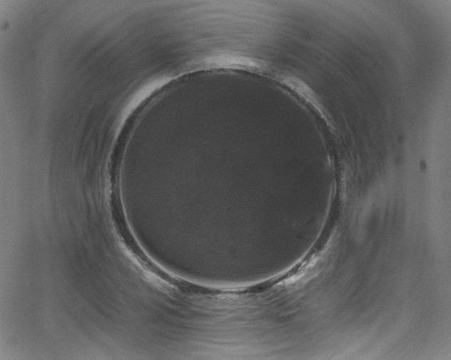 X0000062931024200601131506