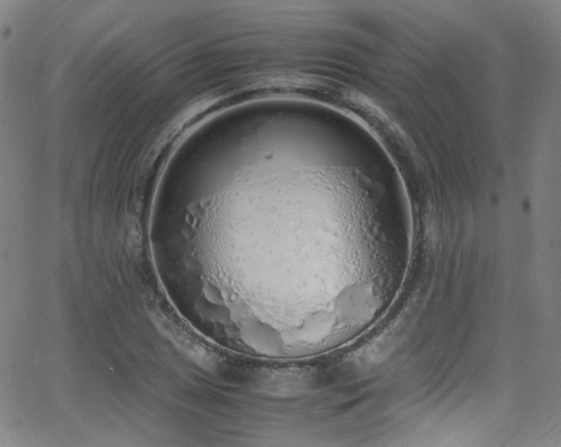 X0000062931025200601131506