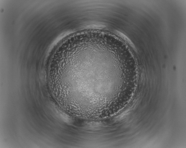 X0000062931027200601131506