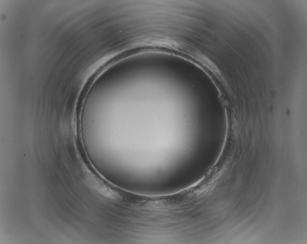 X0000062931028200601131506