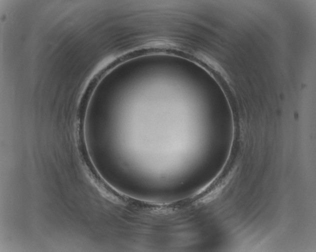 X0000062931029200601131506