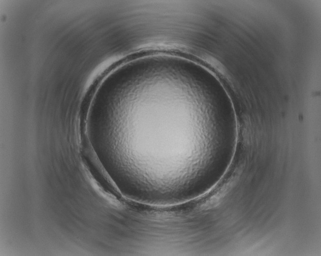 X0000062931030200601131506