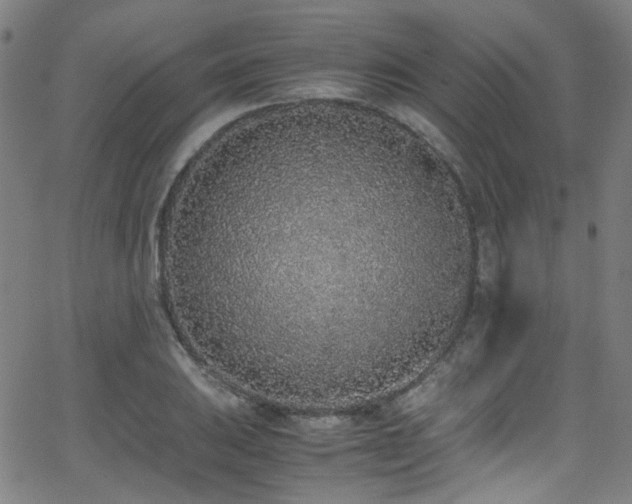 X0000062931031200601131506