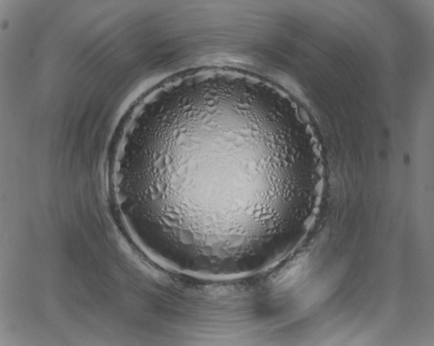 X0000062931032200601131506