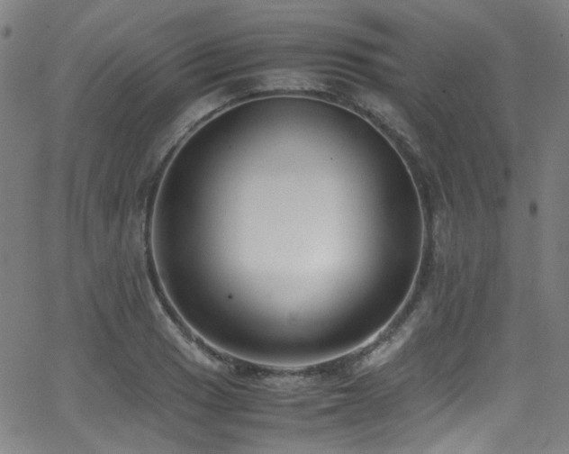 X0000062931033200601131506