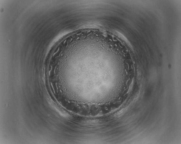 X0000062931035200601131506