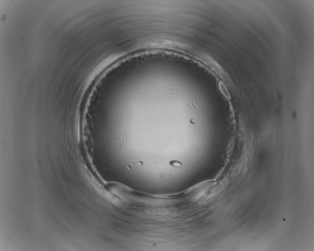 X0000062931036200601131506