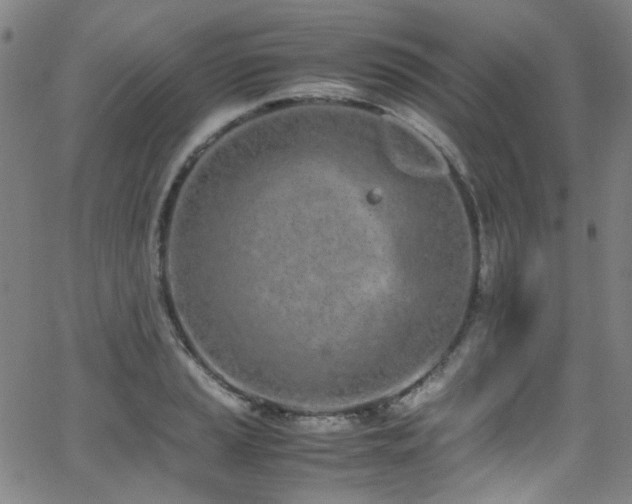 X0000062931037200601131506