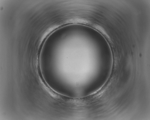 X0000062931040200601131506