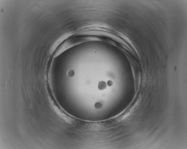 X0000062931042200601131506