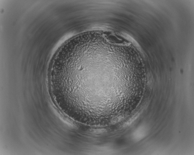 X0000062931043200601131506