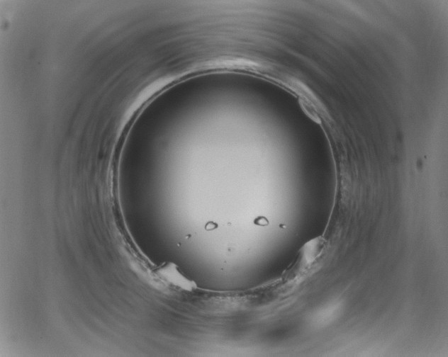 X0000062931044200601131506