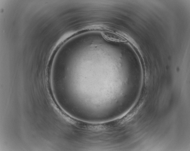 X0000062931045200601131506