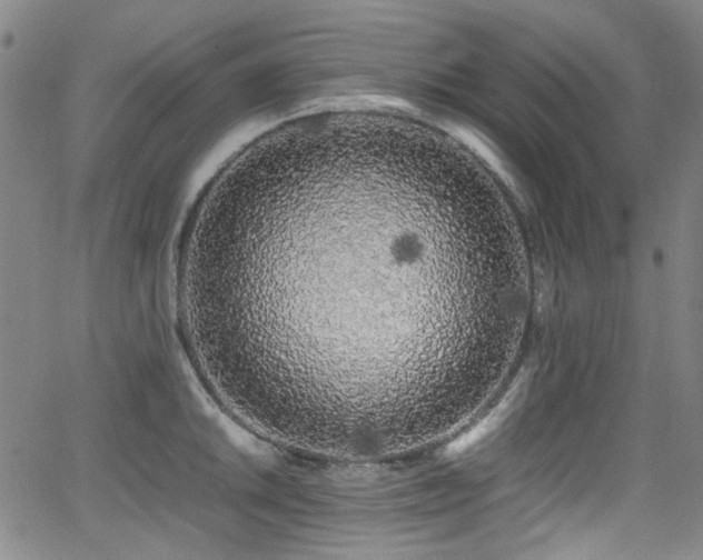 X0000062931046200601131506