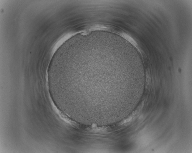 X0000062931047200601131506