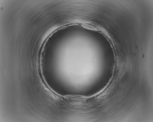 X0000062931048200601131506