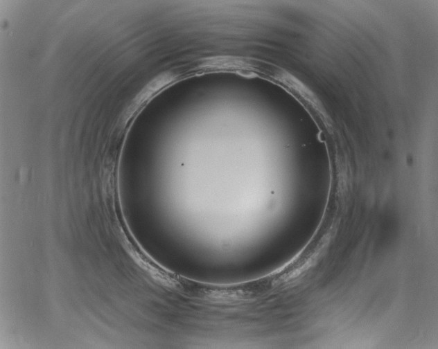 X0000062931049200601131506