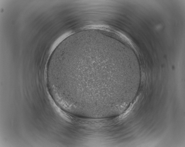 X0000062931050200601131506