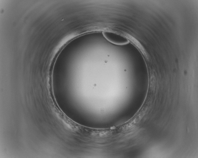 X0000062931051200601131506