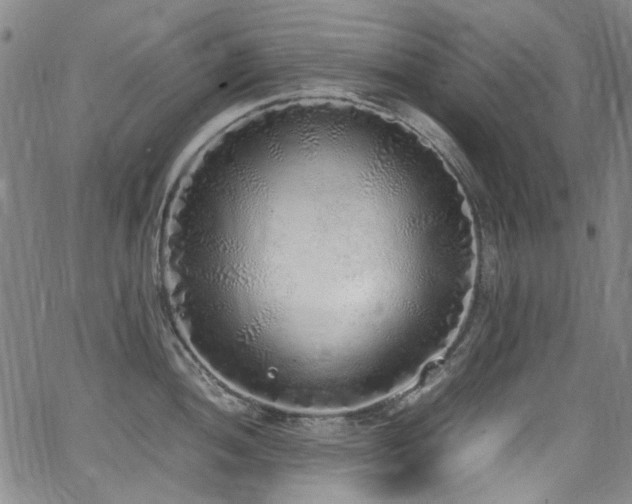 X0000062931052200601131506