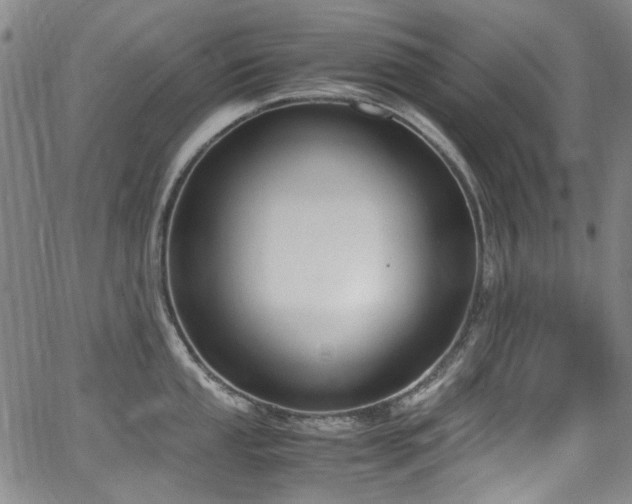 X0000062931053200601131506