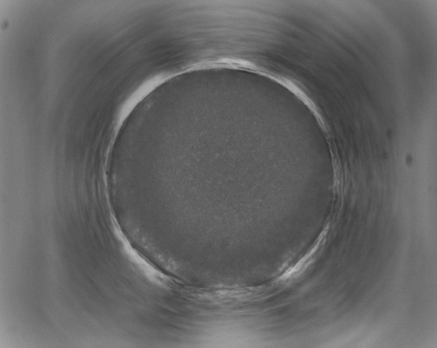 X0000062931054200601131506