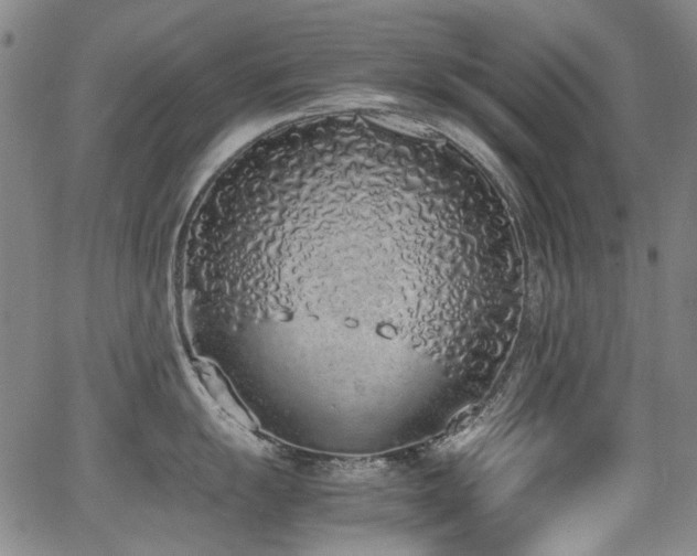 X0000062931055200601131506