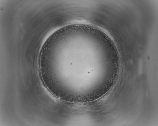 X0000062931056200601131506