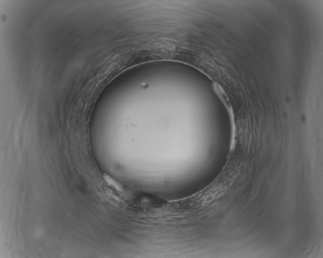 X0000062931057200601131505