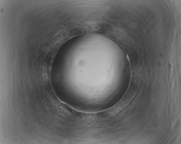 X0000062931058200601131505