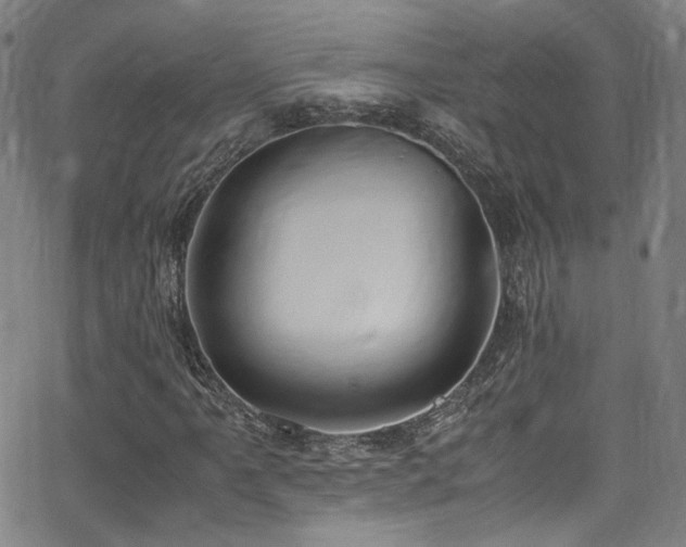 X0000062931061200601131505