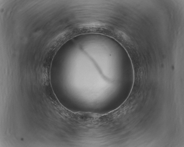 X0000062931062200601131505