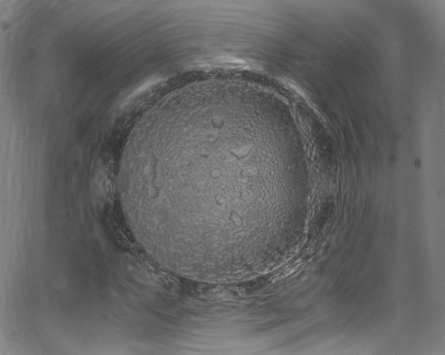 X0000062931063200601131505