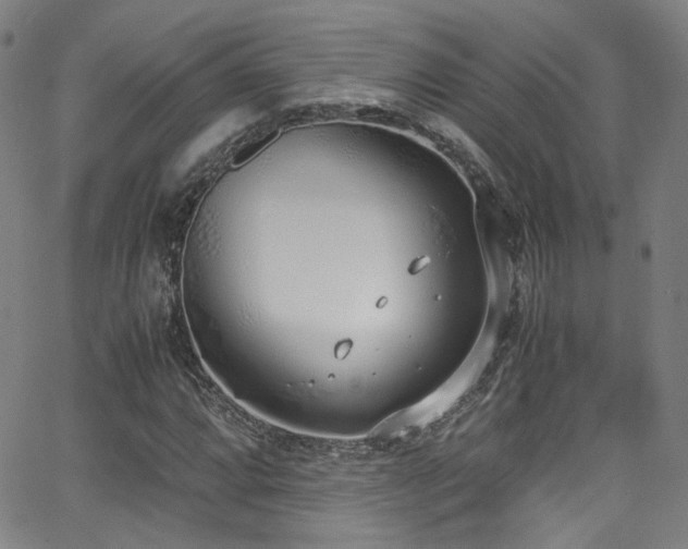 X0000062931064200601131505