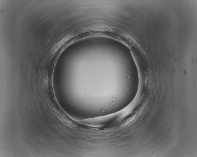 X0000062931065200601131505