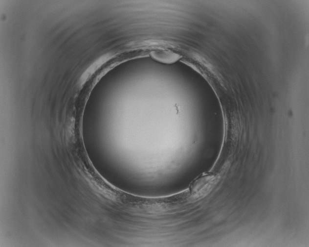 X0000062931066200601131505