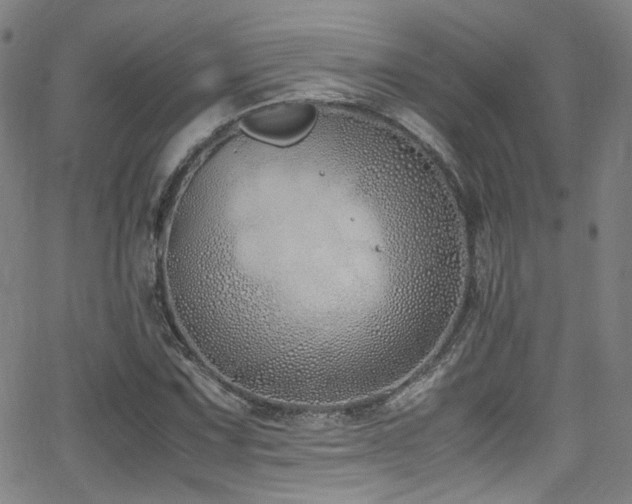 X0000062931067200601131505