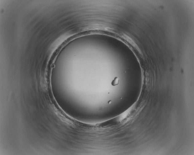 X0000062931068200601131505