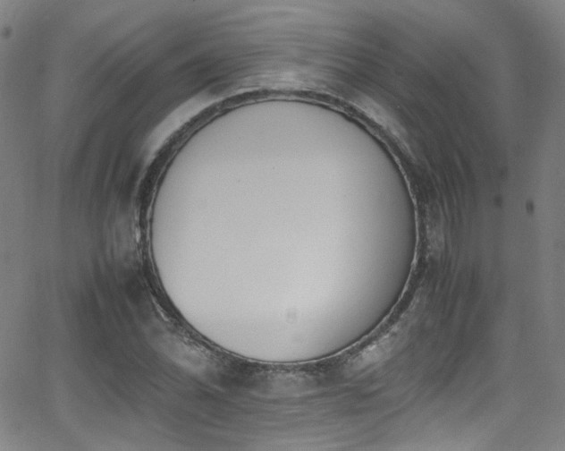 X0000062931070200601131505