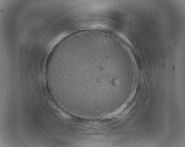 X0000062931071200601131505