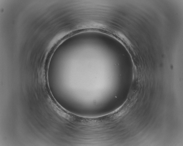 X0000062931072200601131505