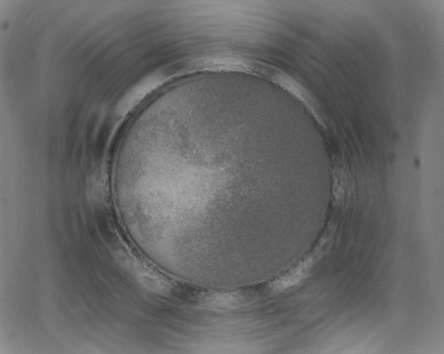 X0000062931074200601131505