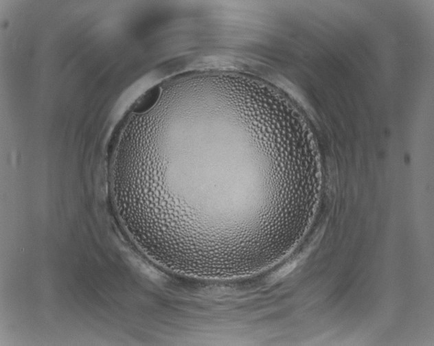 X0000062931075200601131505