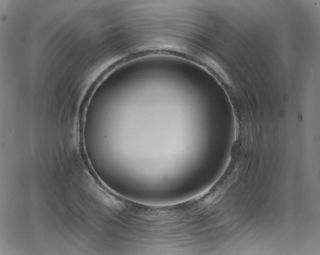 X0000062931076200601131505