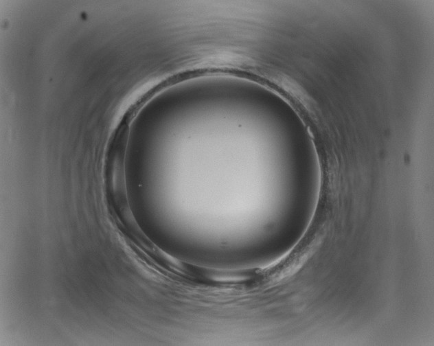 X0000062931077200601131505