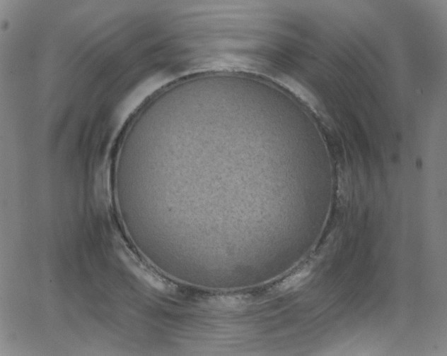 X0000062931078200601131505