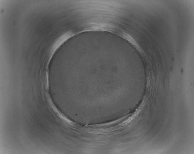 X0000062931079200601131505